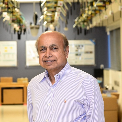 Head shot of balding Indian male wearing a pale button down shirt.