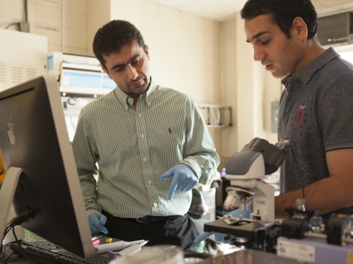 Male student working alongside male professor in lab.