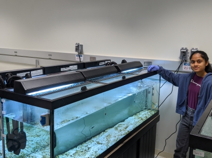Female university student stands by fish tank experiment.